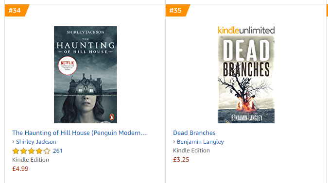 B_J_Langley's tweet photo. MY BOOK IS NEXT TO SHIRLEY BLOODY JACKSON'S! (Though, bizarrely, the list is British Horror Fiction) #amreading #amwriting #UKHorror #ShirleyJackson #SummerReading https://t.co/eigrZa2xsR