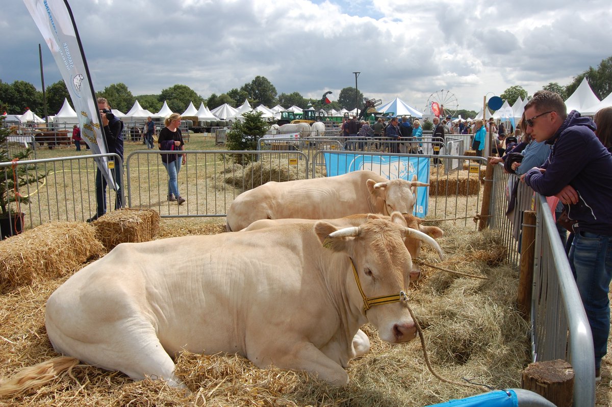 farmcountryfair's tweet photo. Vandaag Vaderdag, maar ook de laatste dag voorverkoop toegangskaarten Farm & Country Fair https://t.co/rkGhAUhUod #Farmcountryfair #21juni #22juni #23juni #Aalten #Achterhoek #Trotsoponsmooieplatteland https://t.co/OiP5elNZJs