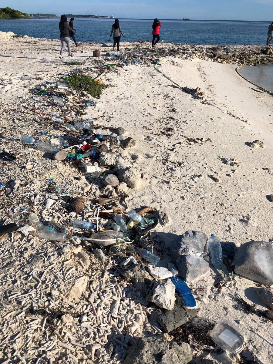 SaafuVillingili's tweet photo. Before and after pictures of Phase 1
#TrashTagMv #SaafuVillingili https://t.co/hf0qNGqbOi