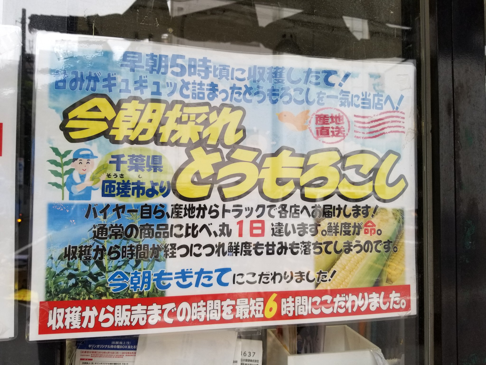 三浦靖雄 登録1号は大塚のス パー シマダヤ 商品ｐｏｐ とうもろこしのｐｏｐに使われているのは トウモロコシ農家 の素材 各野菜農家シリーズがあるのかと思いき や 野菜ではあと レンコン だけでした なぜ いらすとやマッピング いらすと