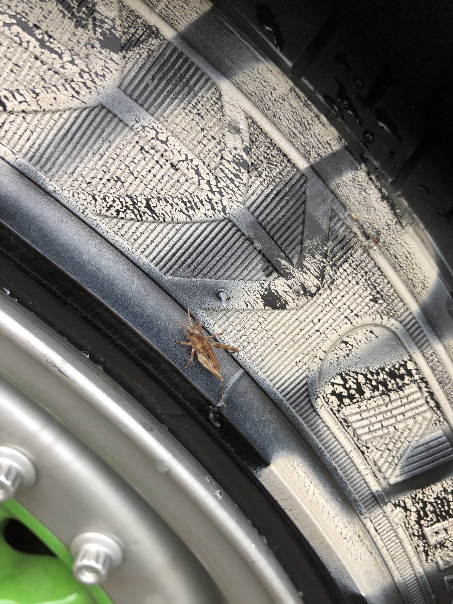 IwaizurmiN's tweet image. Ernestの大ちゃん盛岡に遊びに来た！First Roadのステッカー貰った！めっちゃ目立たないっす！！！！！！！ #下太田JDM #Ernest #Firstroad