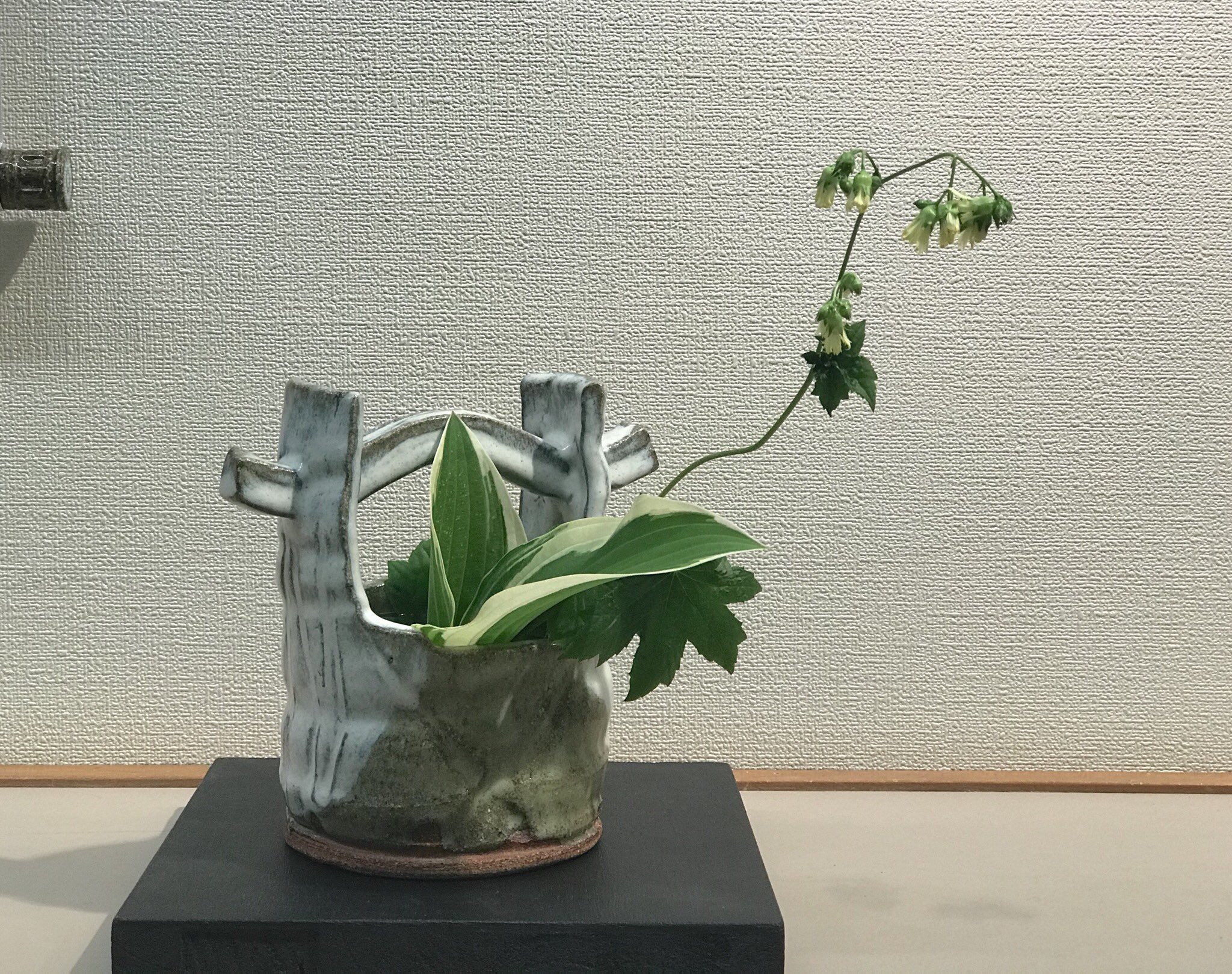 山村御流 - البحث / X