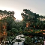 ツイートに含まれる画像