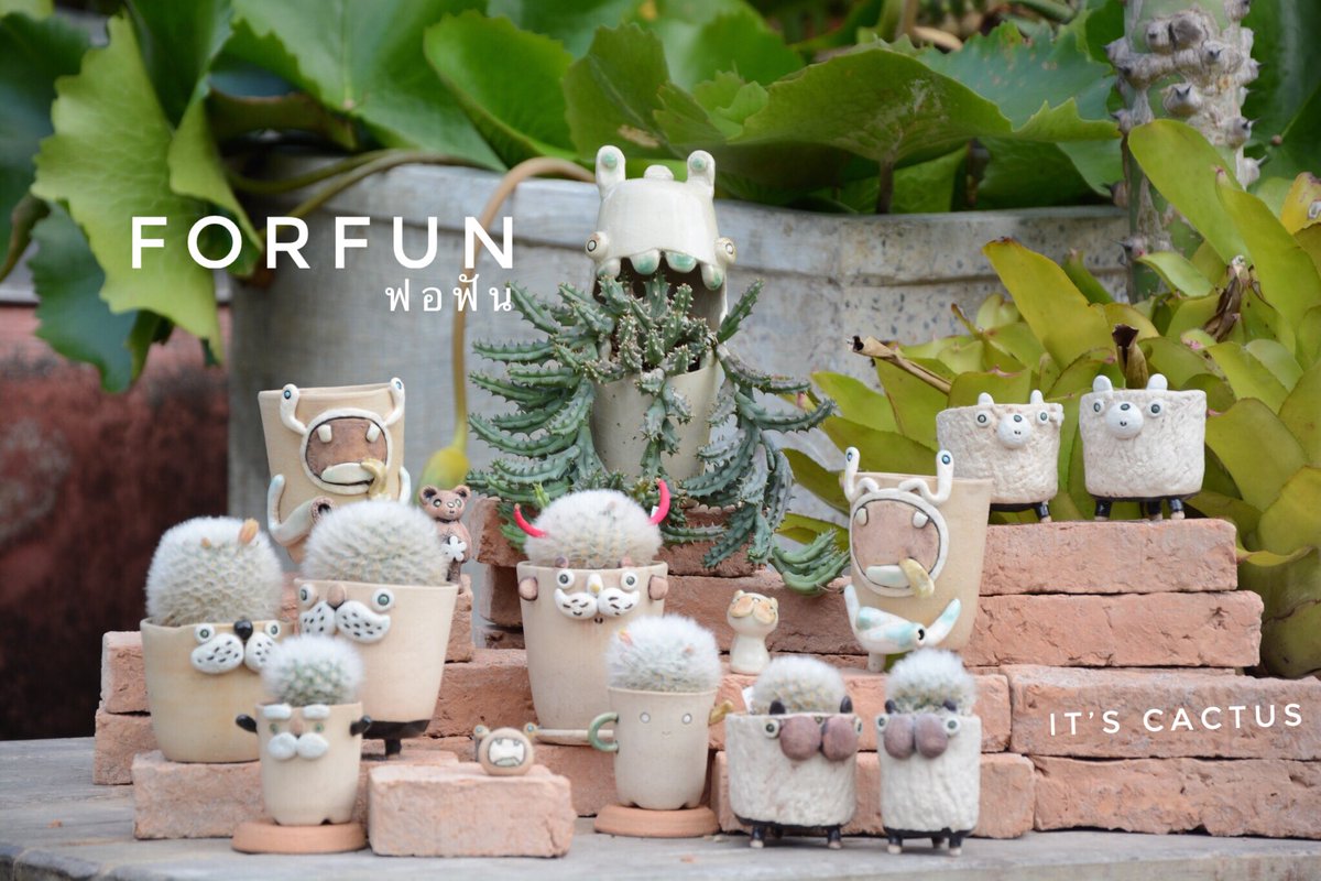 ItCactus's tweet photo. #รีวิวกระถางแคคตัส #nosponsor #notforsale.
แบรนด์กระถาง👉🏼 ForFun ฟอฟัน (1)
🌵งานกระถางแฮนด์เมดที่มีดีไซน์เป็นแบบเฉพาะของตัวเอง ติดใจจากกระถางคุณลุงหนวดอีกตามเคย เป็นคุณลุงมาดมุ้งมิ้ง 555.
🌵วัสดุ : กระถางเซรามิกส์ไม่เคลือบ.
🌵การระบายน้ำ : ดี การระบายอากาศและน้ำดีครับ. https://t.co/RIIeRHw58T