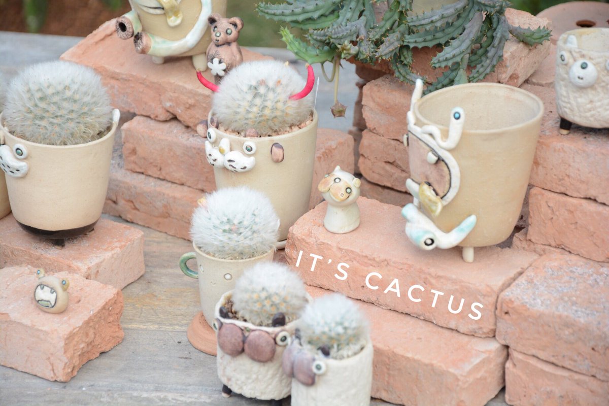 ItCactus's tweet photo. #รีวิวกระถางแคคตัส #nosponsor #notforsale.
แบรนด์กระถาง👉🏼 ForFun ฟอฟัน (1)
🌵งานกระถางแฮนด์เมดที่มีดีไซน์เป็นแบบเฉพาะของตัวเอง ติดใจจากกระถางคุณลุงหนวดอีกตามเคย เป็นคุณลุงมาดมุ้งมิ้ง 555.
🌵วัสดุ : กระถางเซรามิกส์ไม่เคลือบ.
🌵การระบายน้ำ : ดี การระบายอากาศและน้ำดีครับ. https://t.co/RIIeRHw58T