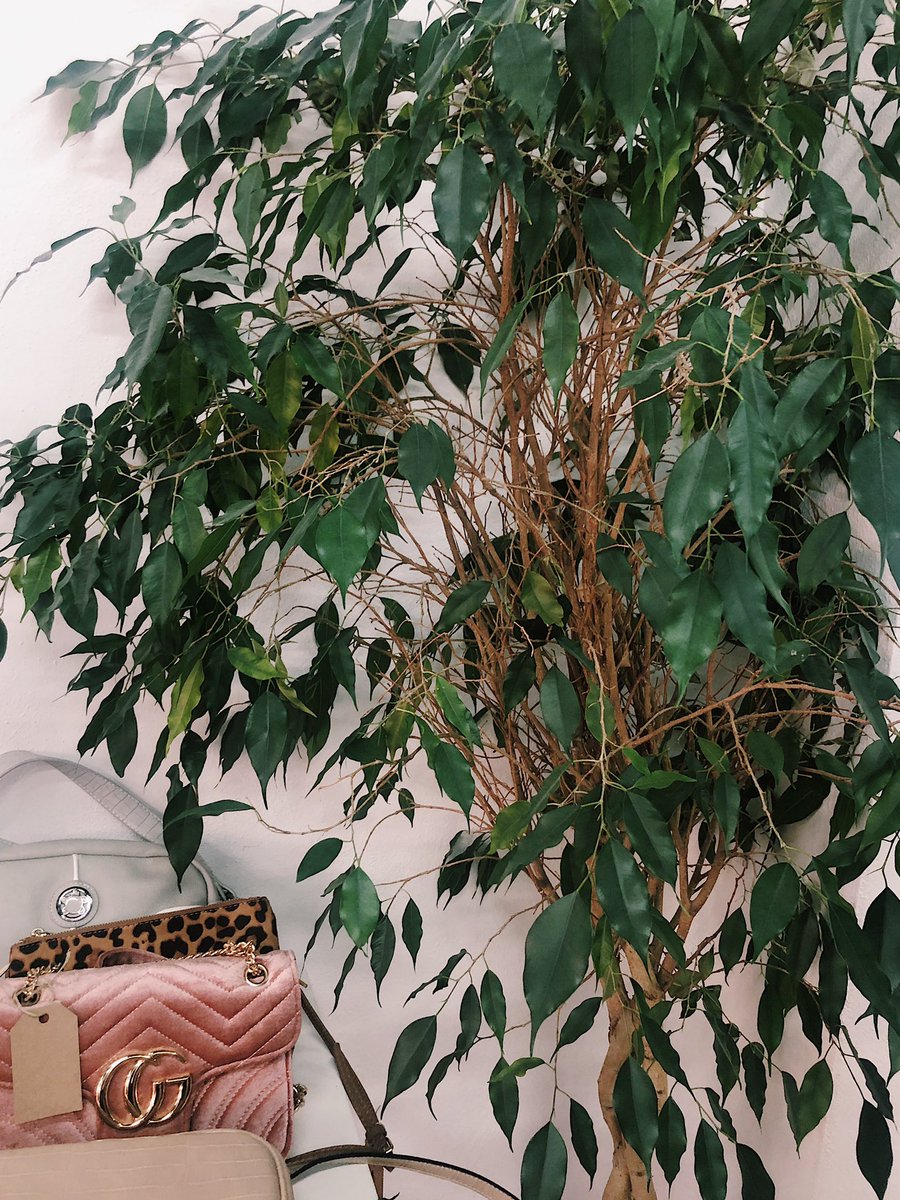 estudioeste's tweet photo. Ayer se trabajó pero hoy se descansa 🍃 https://t.co/3atrIDocH4