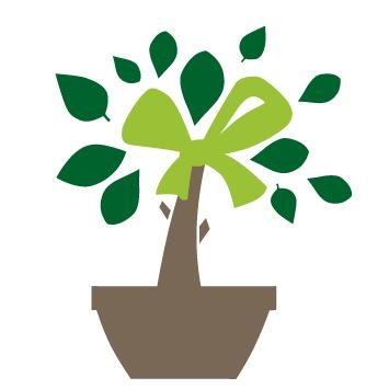 Natursaivlc's tweet photo. Todos nuestros bonsáis han nacido y han sido criados y cuidados individualmente en nuestras instalaciones. Regala naturaleza con la garantía Natursai. Cada árbol mejora nuestras vidas y nuestro entorno. https://t.co/Tz475tABq6