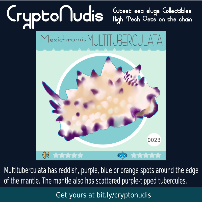 Multituberculata has reddish, purple, blue or orange spots around the edge 
of the mantle. The mantle also has scattered purple-tipped tubercules. 
check it out at :
opensea.io/assets/0x48718…