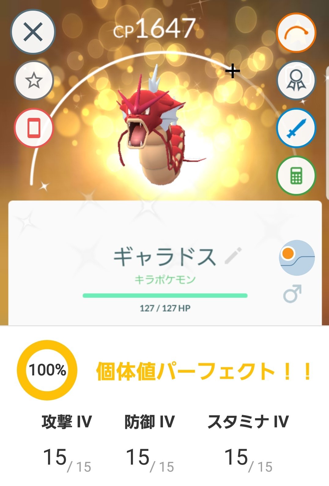 Yan そしてこの子 100 で ビックリしましたw ポケモンgo ポケgo 赤いギャラドス 個体値100 キラ ポケモン T Co Jnbgq4mohe Twitter