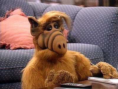welshbollocks's tweet photo. Want to feel old? This is what Alf the alien looks like today... https://t.co/ED3WPgNdk1