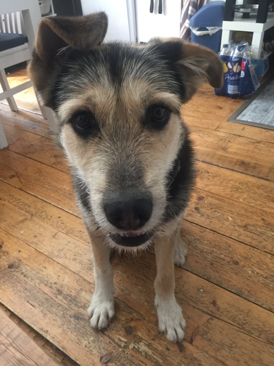 ️️ ️️️️️️️️️ ️️ ️️ ️️ tweet media