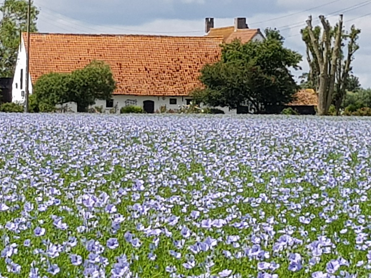 Bertrand Decock tweet media