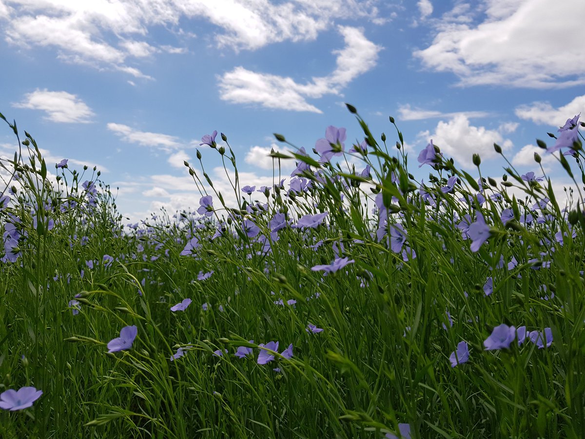 Bertrand Decock tweet media