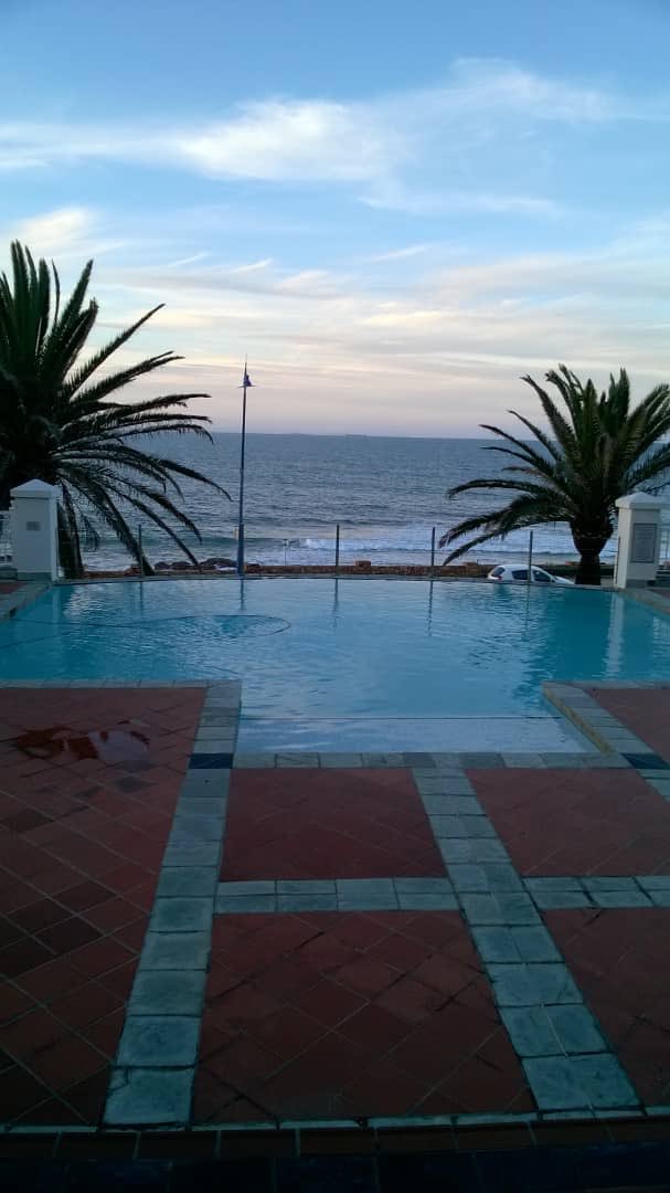 Port Elizabeth South Africa Amazing destination for Holidays