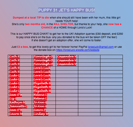 lorasluck's tweet photo. 🆘🆘🆘RED ALERT: PLEASE SHARE 🆘🆘🆘

We have TWO WEEKS to find Jet and Sirius' Happy Bus money! 😲

If anyone can help- it's just £3 a ticket! And if you can't donate, PLEASE share ✨😍🐾🐶 #savealife #blackdogs #lorasluck #Jet #Sirius #SOS @lorasluck https://t.co/zdOpCfiF8W