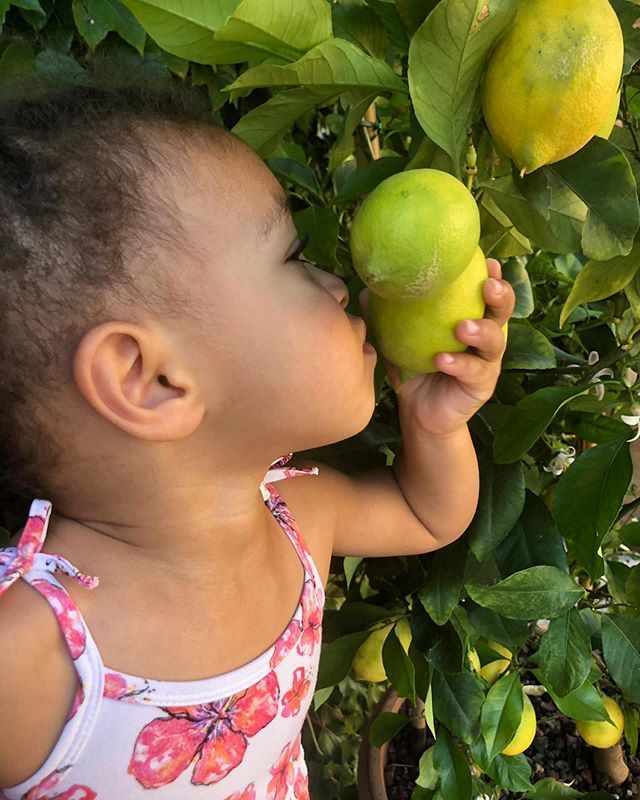 When life gives you lemons.... inhale them and convince your papa to buy you a farm. bit.ly/2WIUbgJ