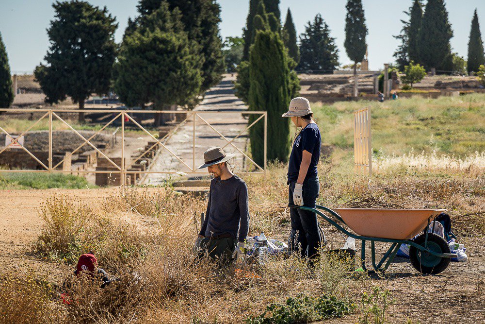 🆕| Arranca la intervención #arqueológica de un sector desconocido de las Termas Mayores de #Itálica. Arqueólogos de la <a href="/unisevilla/">Universidad de Sevilla</a> pretenden esclarecer 🔎 en esta excavación cuestiones claves para la comprensión del edificio. ✔️
➡️ bit.ly/2WP9FzF