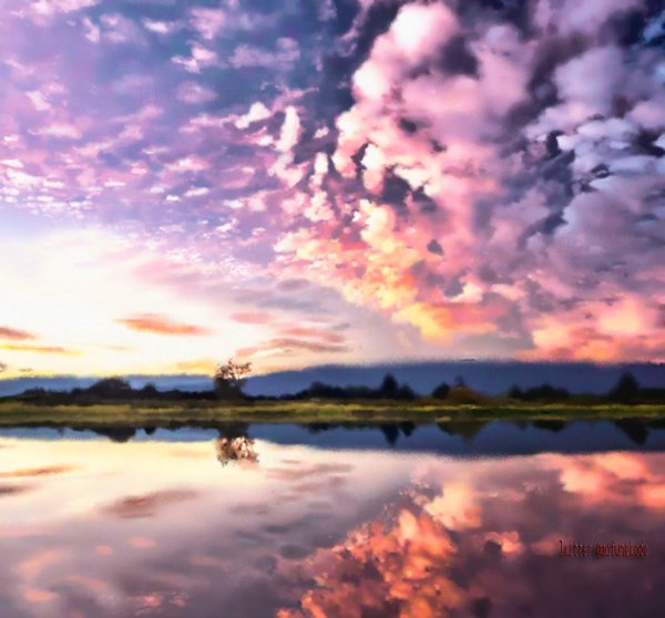 もふ猫堂 בטוויטר 夕焼け描いてみた W Pixabay様の画像を模写させていただきました イラスト好きな人と繋がりたい 絵描きさんと繋がりたい 絵 イラスト 絵の島 絵描きさん応援 芸術の輪 イラスト通り 絵を描く人々 絵師の集い 写実画 模写 風景