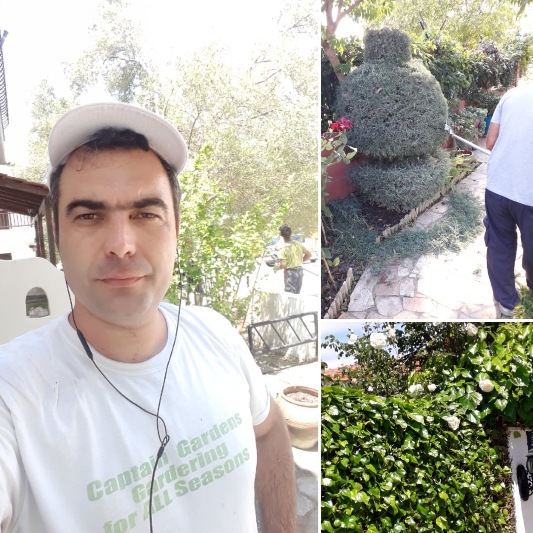 KostasMisialis's tweet photo. #gardening for all #season 🌱🌱🌿🌴 #misialis #landscaper and #gardener https://t.co/u5WLStSWFE