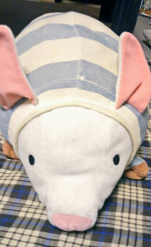 おもちゃについた菌はハイターで消毒できる その方法を徹底解説 ママのおそうじ術