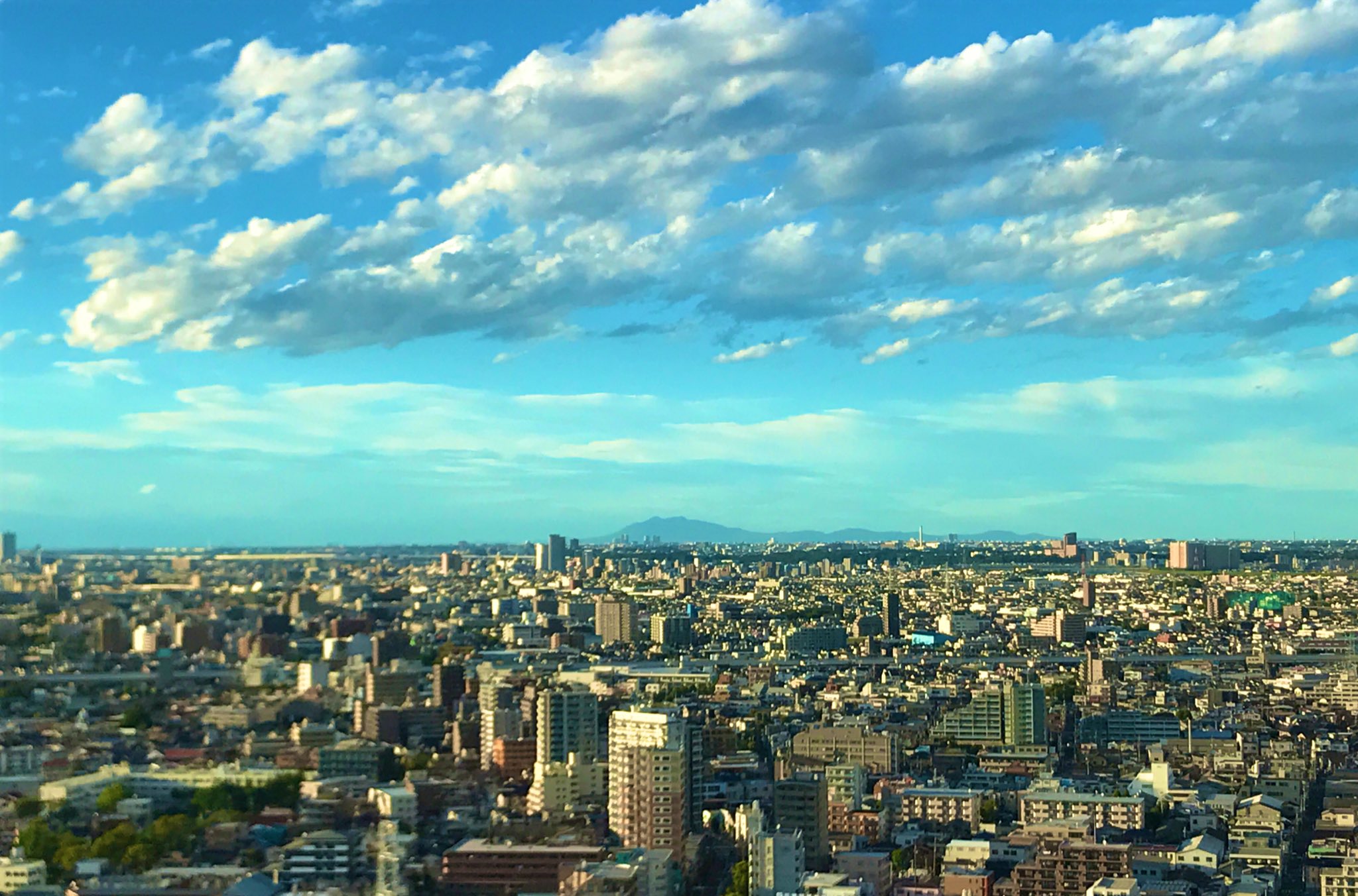 風景画【筑波山】F10号 Amazon.co.jp: 風景画筑波山F10号 : ホビー