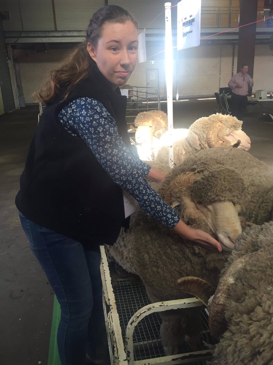 One of my favourite photos from the national merino challenge last month #awinmc#merino#wool#growth 🐏❤️