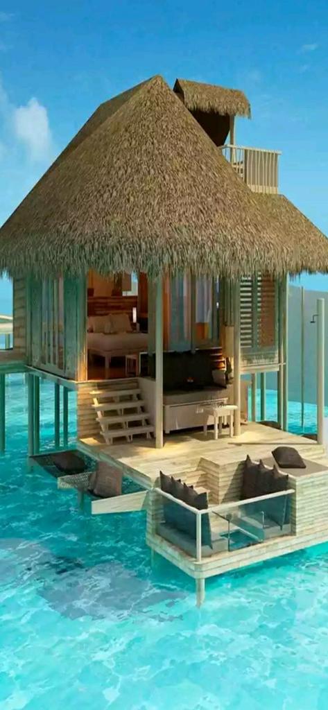 Md.Sohel Rana tweet media