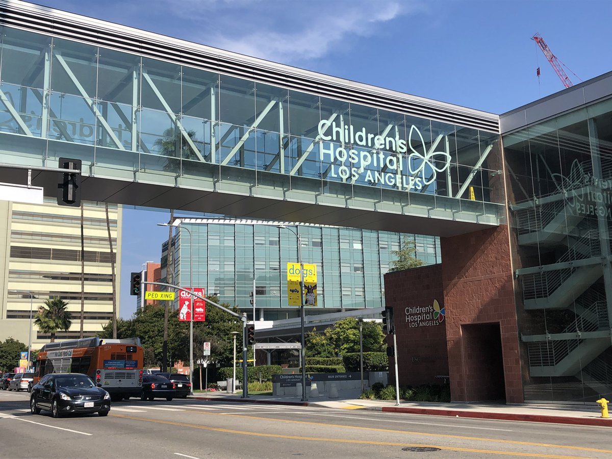 samzuberMD's tweet photo. Two years have gone by so fast! I’ve learned a tremendous amount and I hope this isn’t the end of my basic science career! Thank you Dr Grikscheit and the rest of the department of pediatric surgery for the tremendous support opportunity! #tissueengineer #G_Unit @ChildrensLA https://t.co/Hm8Ryjl3qN