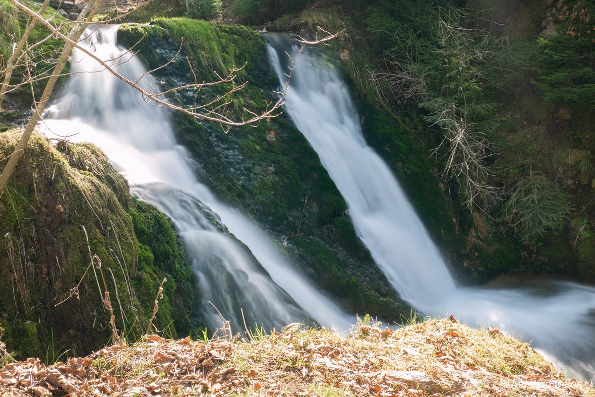 AurelienDelos's tweet photo. Une cascade sur le ruisseau de Malbuisson

#doubs #doubstourisme #sourcebleue  #nature #longexposure #regionbourgognefranchecomte #igersbourgogne #igersfrance #cascade #magnifiquebourgogne #magnifiquefrance #lumixg80 #ndfilter #mygobe https://t.co/p2l2obChzn