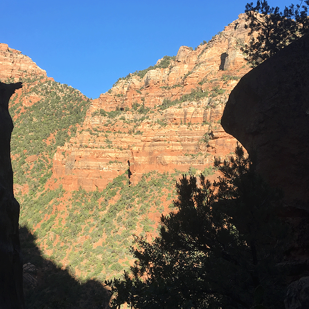 Zion_NP_Utah's tweet photo. "Well done is better than well said." - Benjamin Franklin
Have you ever hiked the Subway? This is a view from the switchbacks at the beginning (or end) of the hike. That entire trail is BREATHTAKING. Do it.
#zion #scenic #view #hiking #zionnationalpark https://t.co/FWe6eOOa54