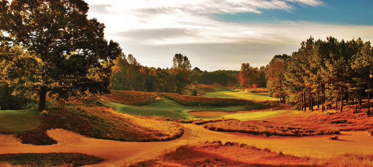 darrenbragg's tweet image. Someone’s asked me recently if there was a course I simply ‘have to’ play again❓

The answer was simple:
@TobaccoRoadGolf ✅ 

#experience #brilliant #pushingboundries #Stunning #youhavetogo #northcarolina 🇺🇸 

@yourgolftravel @GolfTeamYGT 
🎙#TeamYGT 🙌
🛩🌎🥇⛳️🏌️‍♂️🏌️‍♀️