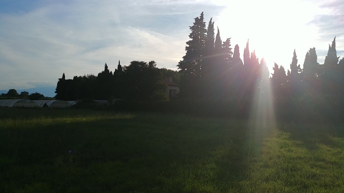 LesDeuxF's tweet image. Oh mon dieu. Avec ce temps, ca sent le barbecue de partouuut !!   
 #summerISback