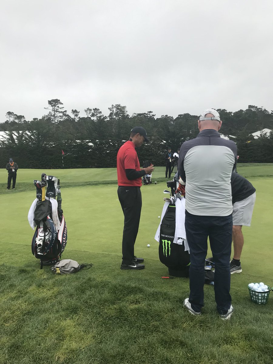 Tiger Tracker tweet media