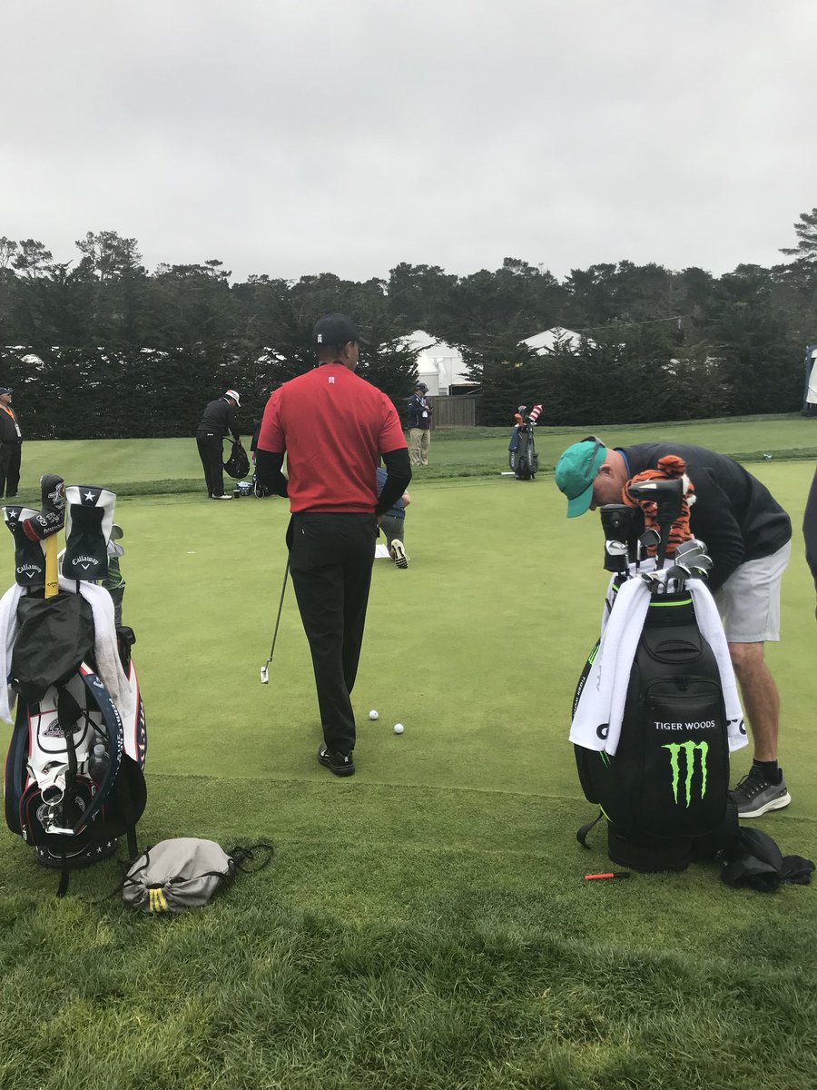 Tiger Tracker tweet media
