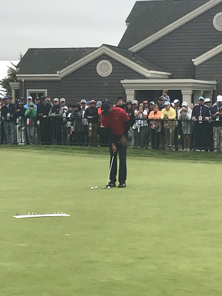 Tiger Tracker tweet media