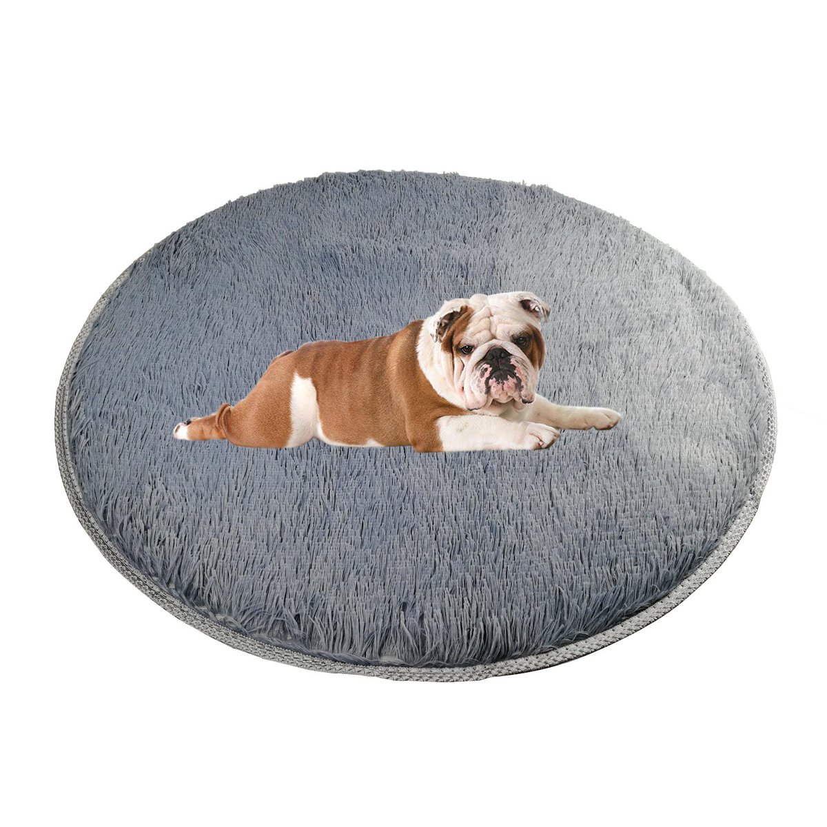 AileenZhang9's tweet photo. @SirSpencerPug Hello, glad to see your cute daily life on Twitter. We are a pet supplier on Amazon and now we want to invite you to try our new product if you could help us review. For any interests, please kindly let me know freely. https://t.co/3ArjBgXMHY