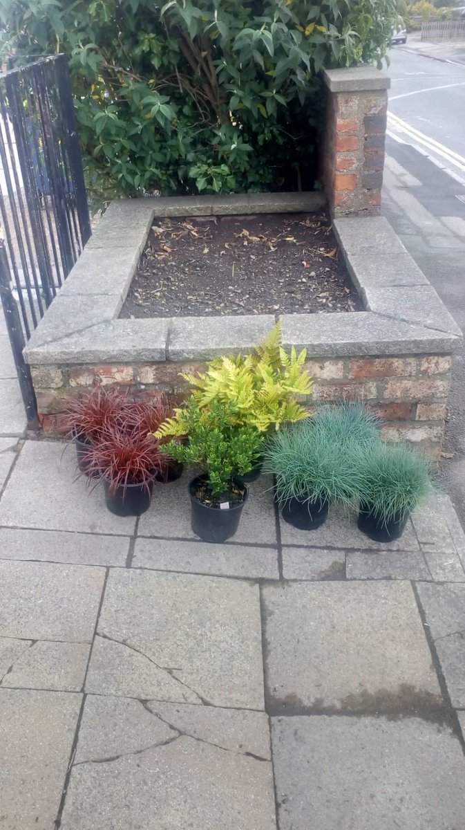 SouthviewAP's tweet photo. Staff and residents making more beautiful adjustments to our garden this weekend #PIPE #relationships #changinglives #wellbeing #purposefulactivity https://t.co/JQ2IMjwEXd