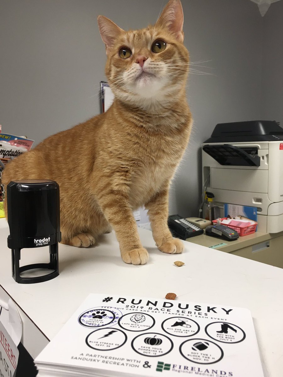 SanduskyRec's tweet photo. Did you just now hear about the #RUNDUSKY Race Series and want to get a stamp for the first race of the series? Well, the highly adoptable Sunny has taken over our race stamp and will stamp your card for a $25 donation to the @humaneeriecooh Stop in during the HSEC posted hours. https://t.co/HRwW1u9YJZ