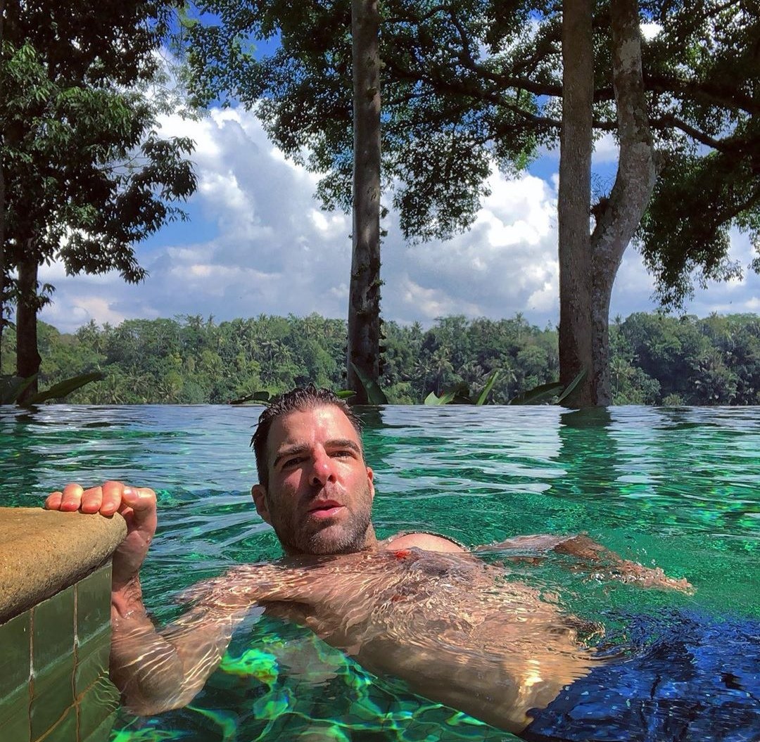 คืนนี้พบกับ  ...  ลามะว่ายน้ำ