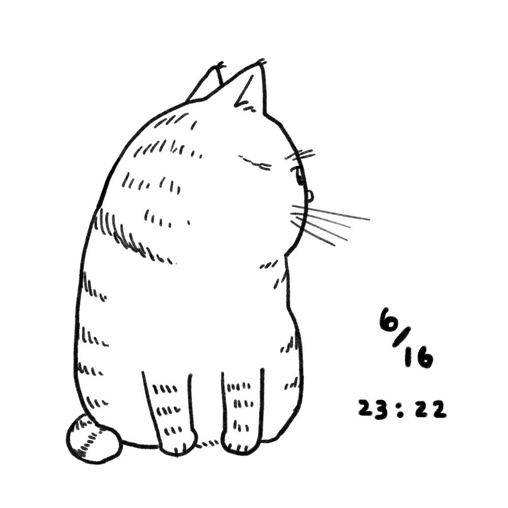 ふりかえってパソコンの画面をみている #いま見えているねこ 