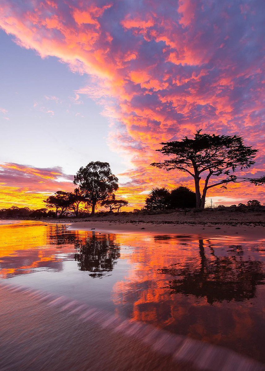torarelaxtime's tweet photo. Good night dear my friends. Enjoy beautiful and blessed Sunday. Love you all.
#GoodNightTwitterWorld #Goodvibesonly #GoodNightEveryOne #sunsetlovers #BeHappy #BeKind #BeautifulWorld #Blessingforyou #BlessedAndGrateful https://t.co/4x6m8wEKl8