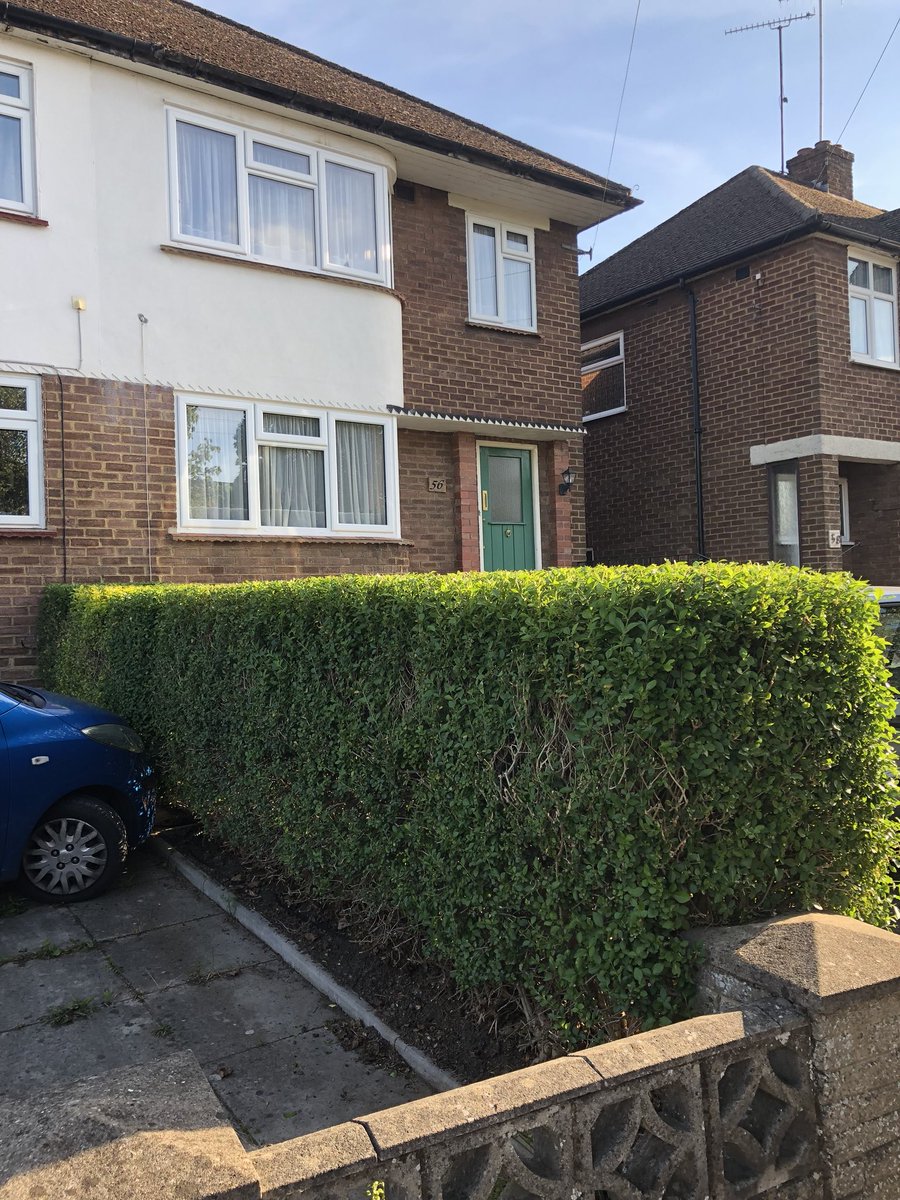 ce_maintenance's tweet photo. Hedge trimming in Potters Bar.
#anotherhappycustomer https://t.co/BQ2Yb20EEr