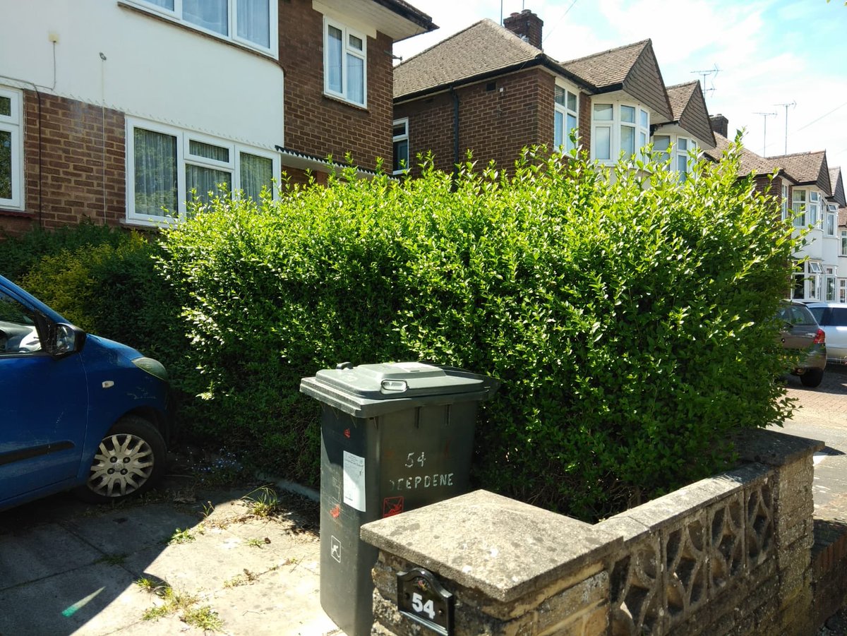 ce_maintenance's tweet photo. Hedge trimming in Potters Bar.
#anotherhappycustomer https://t.co/BQ2Yb20EEr