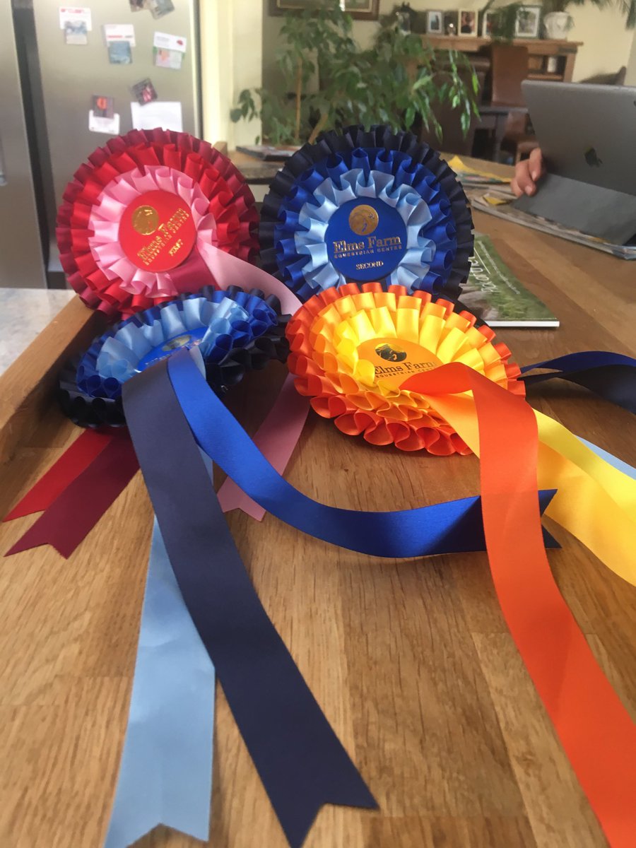 VerePhillipps's tweet photo. Another good day for Joss! Including his first win in a foxhunter with his main man “Rockmount Casper “ https://t.co/CGbOiz9BAF