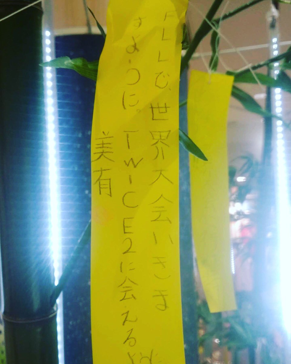ShenronTsky's tweet photo. もうそんな季節なんだ...と思いつつ「 #FLL で世界大会に行きたい」と短冊に願いを込めました🎋
でもやっぱり年頃の女子
TWICEにも会いたいよね🥰 https://t.co/80Omf3MnO1