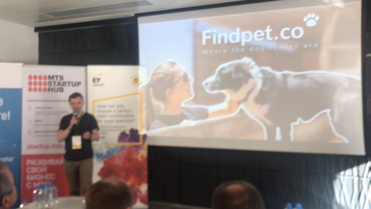 StartUpBranding's tweet photo. #findpets for finding pets at shelters in the US @startupweeken13 #startupweekendmsc https://t.co/VFB370AAXm