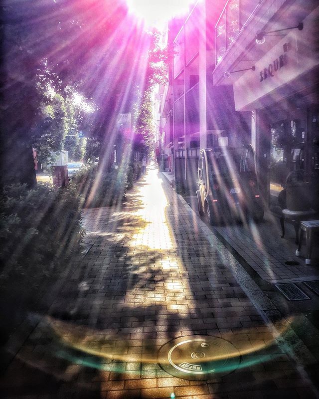 gajumaru3's tweet photo. 気がつくと西日の中に夏の道
When it notices, 
the summer road in the west 
sun from ley line

#leyline 
#lightabdshadow 
#kigo #jhaiku #haiku #micropoetry https://t.co/0npDJdiC3w https://t.co/650mfzUniv