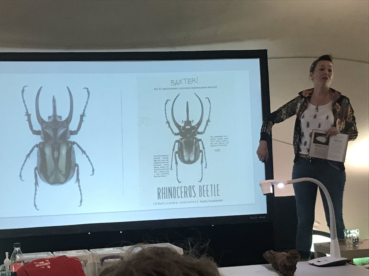 Mr_Raitt's tweet photo. > Baxter / Rhinoceros Beetle, hero of @MGLnrd's #BeetleBoy trilogy.
Newton, firefly with #superheropower = bioluminescent abdomen.
+ Ellen Terry's beetle-based gothic horror #theatre fashion. #IDL #inspiration #research #writing > https://t.co/vaJNVXqi5m