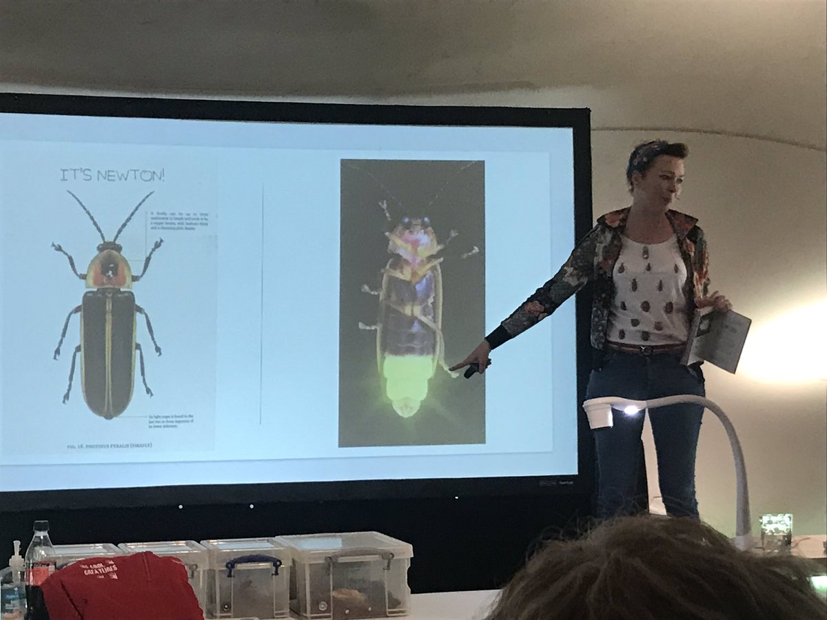 Mr_Raitt's tweet photo. > Baxter / Rhinoceros Beetle, hero of @MGLnrd's #BeetleBoy trilogy.
Newton, firefly with #superheropower = bioluminescent abdomen.
+ Ellen Terry's beetle-based gothic horror #theatre fashion. #IDL #inspiration #research #writing > https://t.co/vaJNVXqi5m