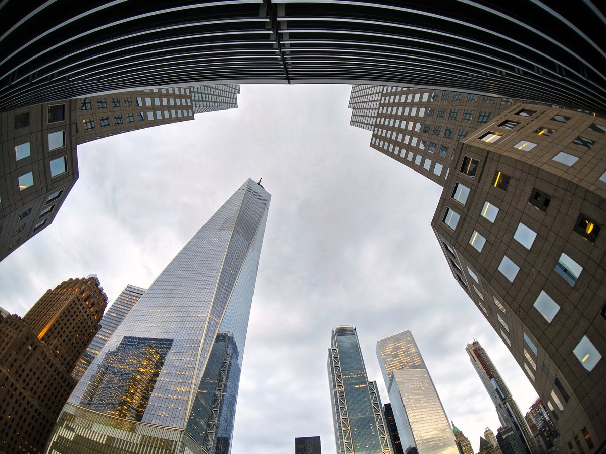 crissibeth's tweet photo. Look up from #bfplny roof https://t.co/nnKAXO4cIm